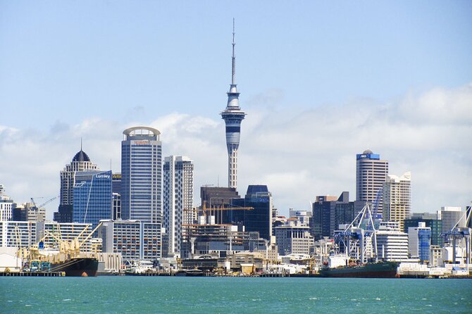 Guided Auckland Highlights Half Day City Tour - Key points to know before booking