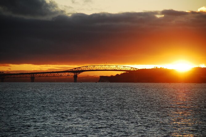 Guided Auckland Highlights Half Day City Tour - Why this route works for a first Auckland afternoon
