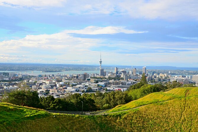 Guided Auckland Highlights Half Day City Tour - Starting at the 328-meter Sky Tower