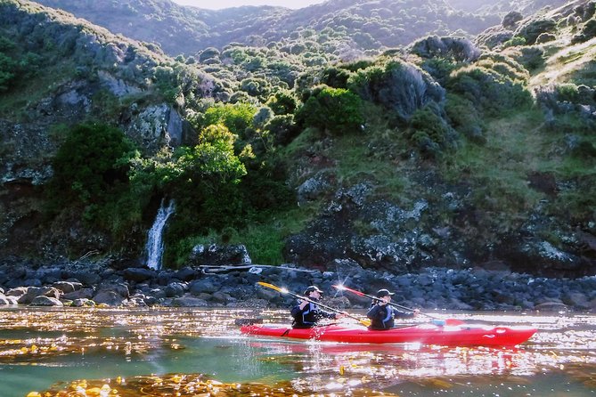 Guided Electric Mountain Bike & Sea Kayak Tour in Akaroa - Why this Akaroa combination works