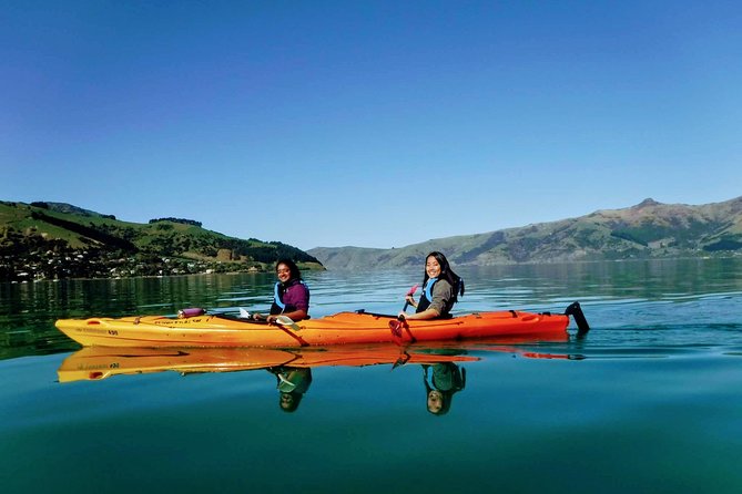 Guided Electric Mountain Bike & Sea Kayak Tour in Akaroa - What the guide adds on the bike section