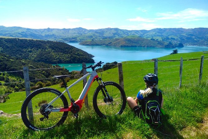 Guided Electric Mountain Bike & Sea Kayak Tour in Akaroa - The 11:30 a.m. kayak trip through the harbor