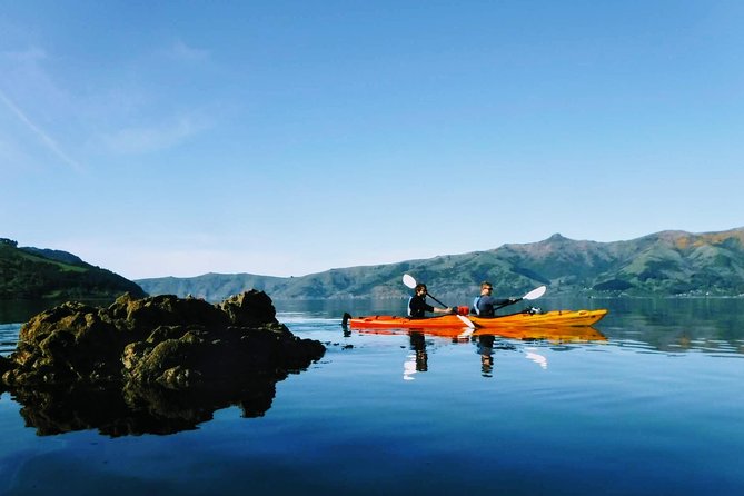 Guided Electric Mountain Bike & Sea Kayak Tour in Akaroa - Joey’s role in making the paddle approachable