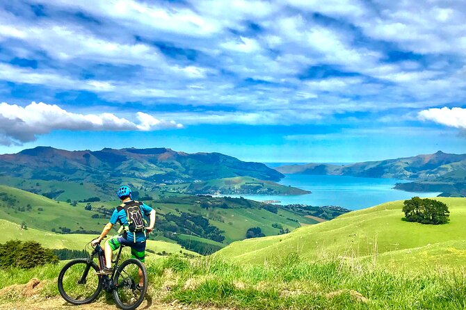 Guided Electric Mountain Bike Tour- Akaroa Explorer - Choosing between the two routes