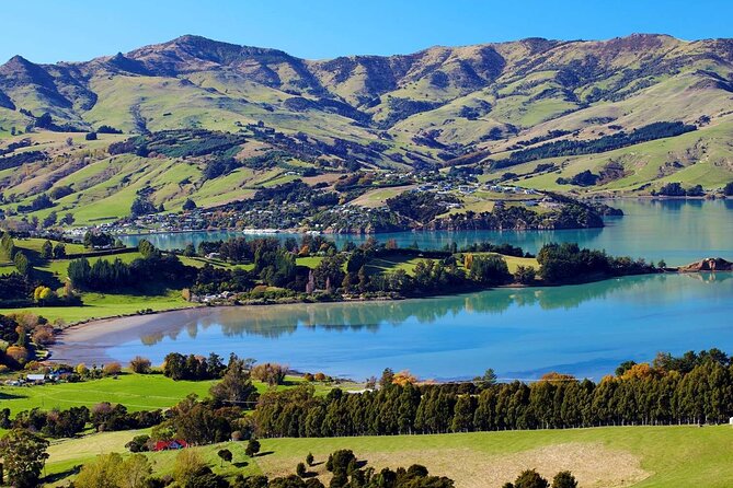 Guided Electric Mountain Bike Tour- Akaroa Explorer - What the climbs and descents feel like