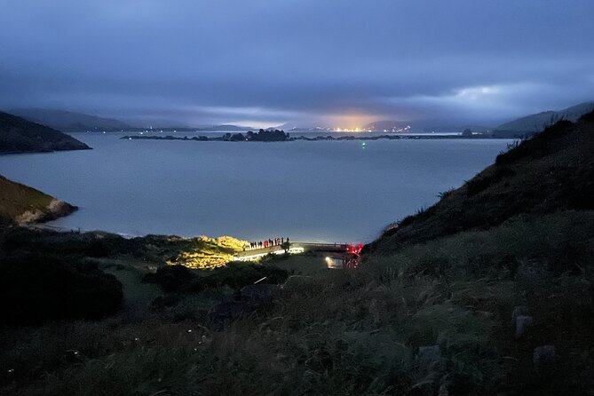 Guided Evening Penguin Viewing Otago Peninsula, Dunedin, New Zealand - The first 30 minutes: history, habitat, and penguin facts