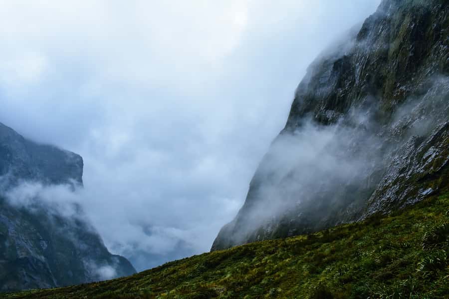 Guided Private Milford Sound Day Tour from Te Anau(Cruise In - The Milford Road is part of the tour