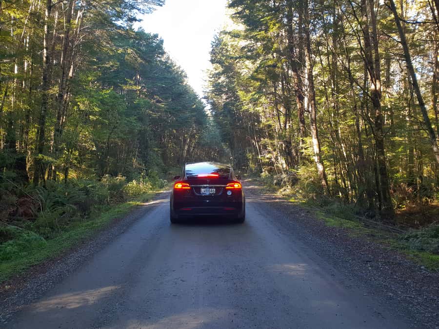 Guided Private Milford Sound Day Tour from Te Anau(Cruise In - Local guidance from John and Nigel