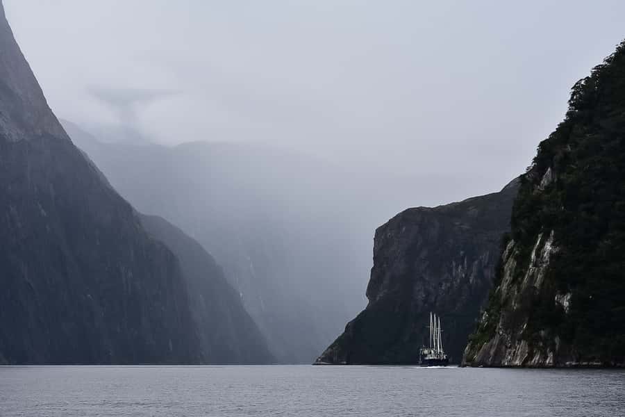 Guided Private Milford Sound Day Tour from Te Anau(Cruise In - The value of $209 per person
