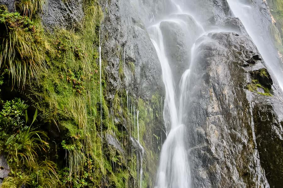 Guided Private Milford Sound Day Tour from Te Anau(Cruise In - Who will enjoy this tour most?