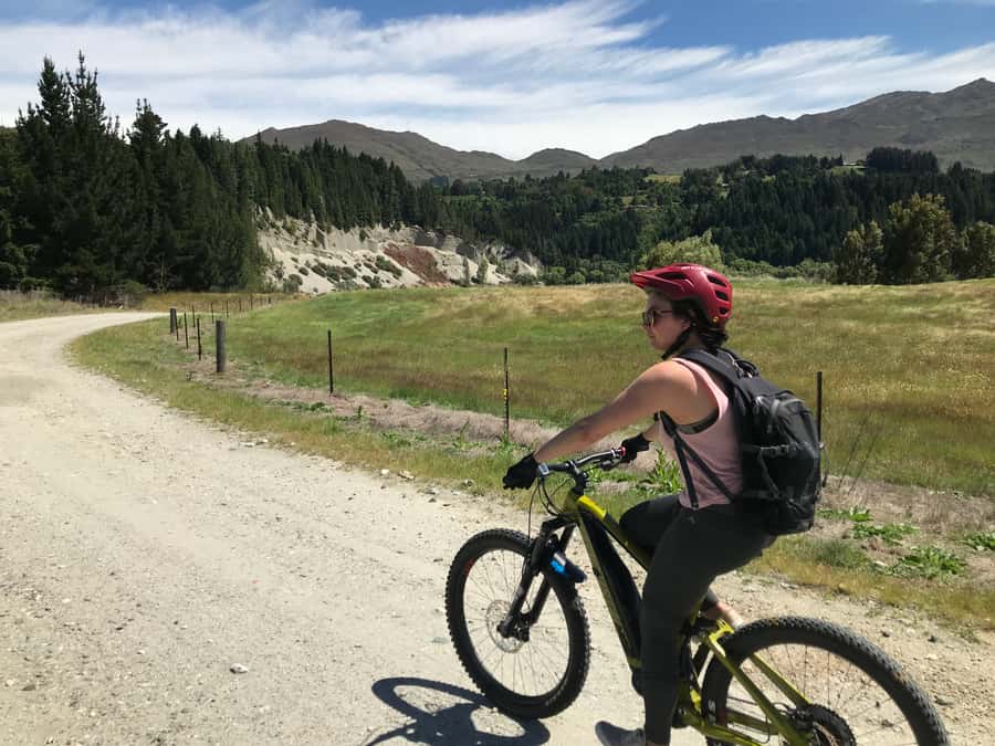 Guided Scenic E-bike Tour - Ride to the Lake - Local sculptures set in natural surroundings