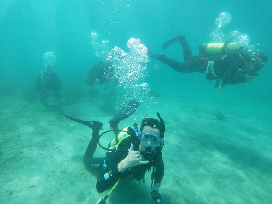 Guided Shore Dive Tour for Certified Divers - Waterfall Reef and the Caves for reef and macro life