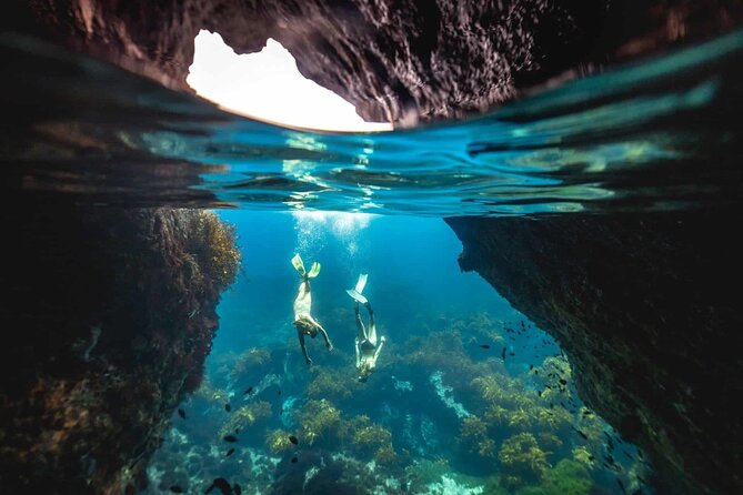 Guided Snorkeling and Island Exploration in Auckland - Key points to know before booking