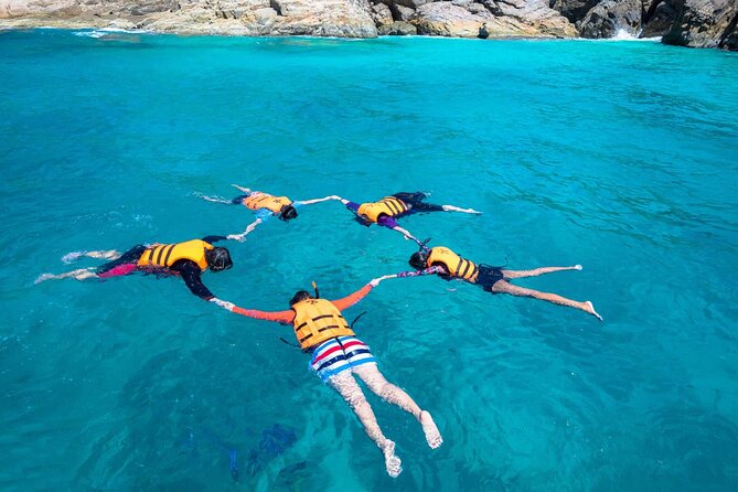 Guided Snorkeling and Island Exploration in Auckland - Why Tiritiri Matangi makes a strong day trip
