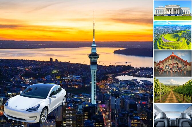 Guided Snorkeling and Island Exploration in Auckland - The guide is the strongest part
