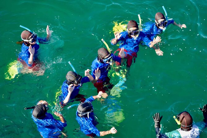 Guided Snorkeling and Island Exploration in Auckland - Is $93.09 good value?