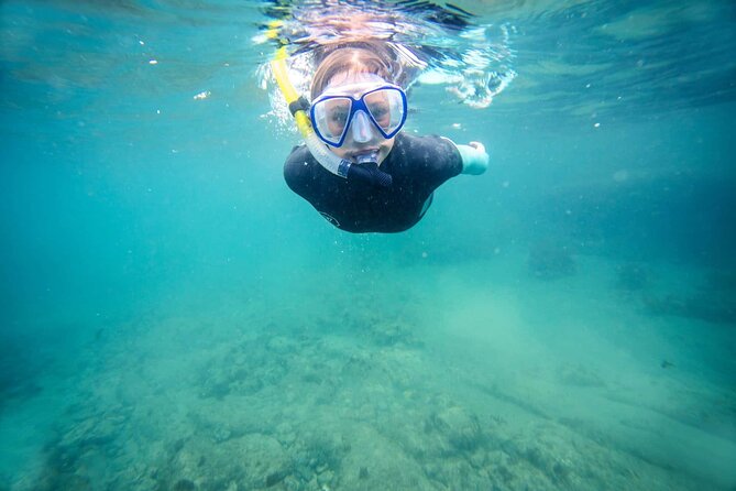 Guided Snorkeling and Island Exploration in Auckland - Getting ready for cold water snorkeling