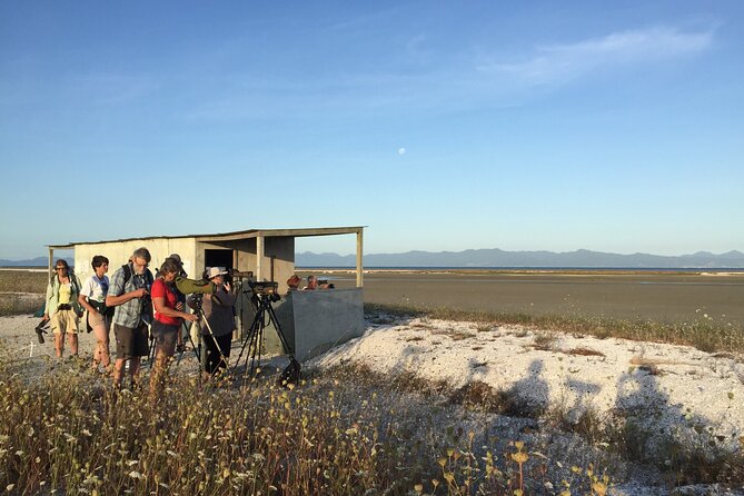 Guided Tour at Pukorokoro Shorebird Centre - Why this shorebird tour is worth your time