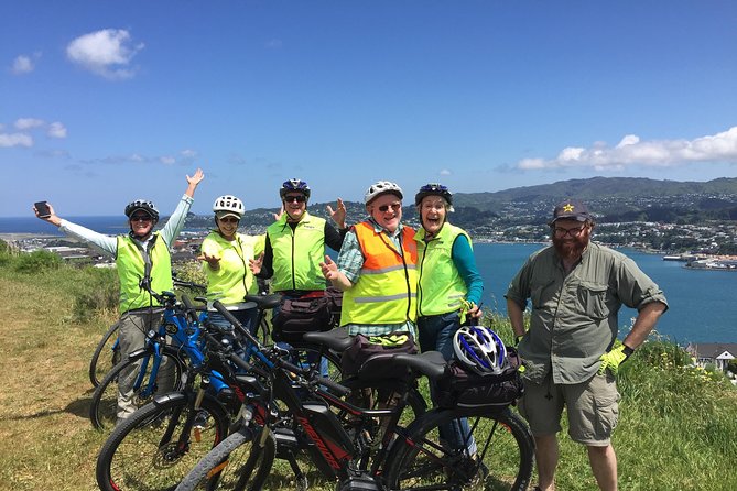 Guided Wellington Tour by Electric Bike - Wellington Waterfront and the first harbor views