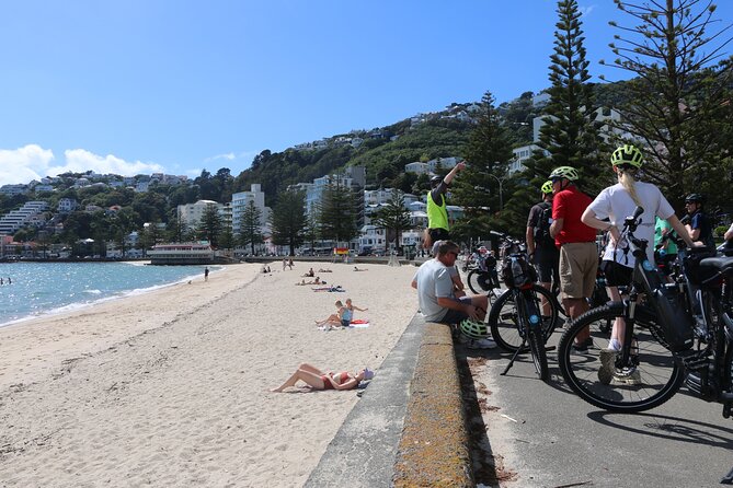 Guided Wellington Tour by Electric Bike - Maupuia Walkway and the best lookout
