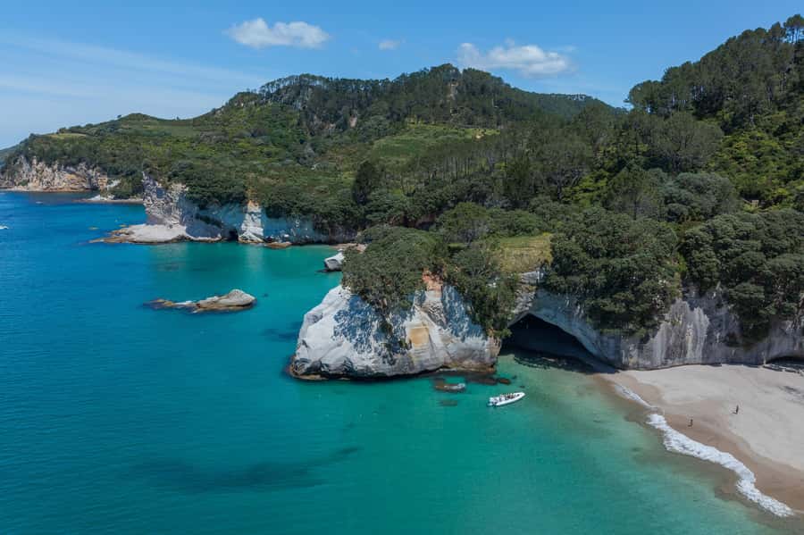 Hahei Explorer Cathedral Cove Boat Tour - Sea caves, blowholes, and small bays