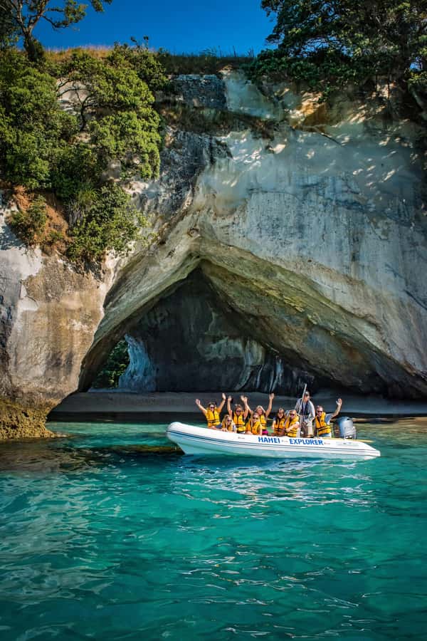 Hahei Explorer Cathedral Cove Boat Tour - Marine life in a protected reserve