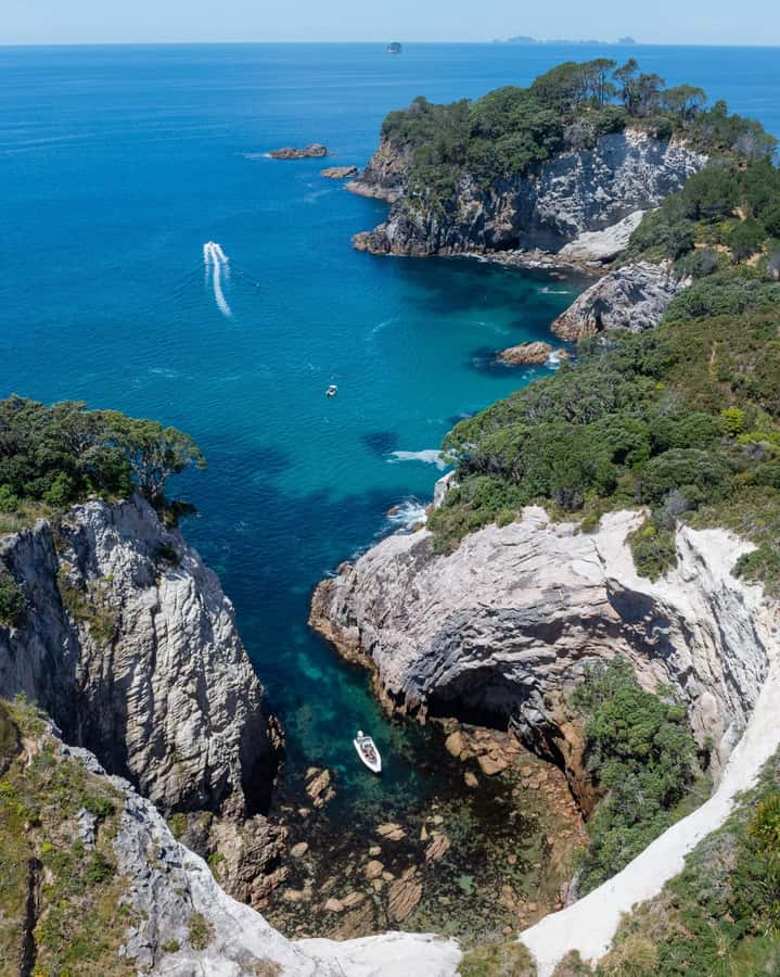 Hahei Explorer Cathedral Cove Boat Tour - Who will enjoy this Hahei boat tour?