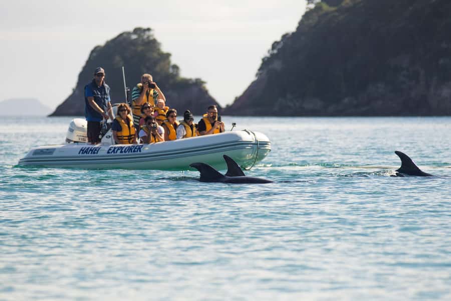 Hahei Explorer Cathedral Cove Boat Tour - Setting out from Hahei Beach