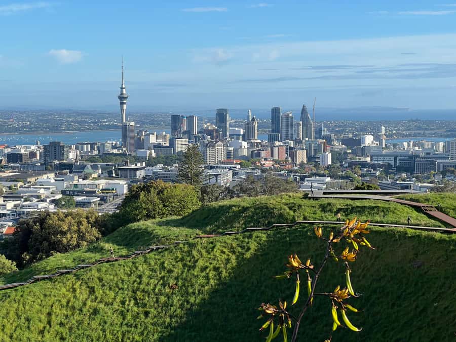 Half-Day Auckland City Highlights Tour with Hotel Pickup - Why this short Auckland tour works