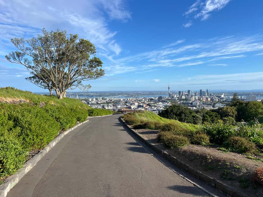 Half-Day Auckland City Highlights Tour with Hotel Pickup - Wynyard Quarter and Auckland’s waterfront character