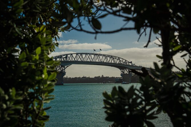Half-day Discover Auckland City Sightseeing Tour - Key points to know before booking