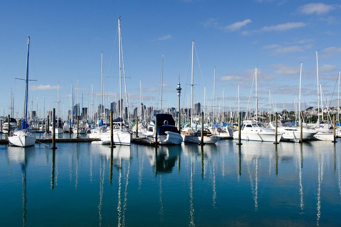 Half-day Discover Auckland City Sightseeing Tour - Ponsonby and Auckland’s older inner suburbs