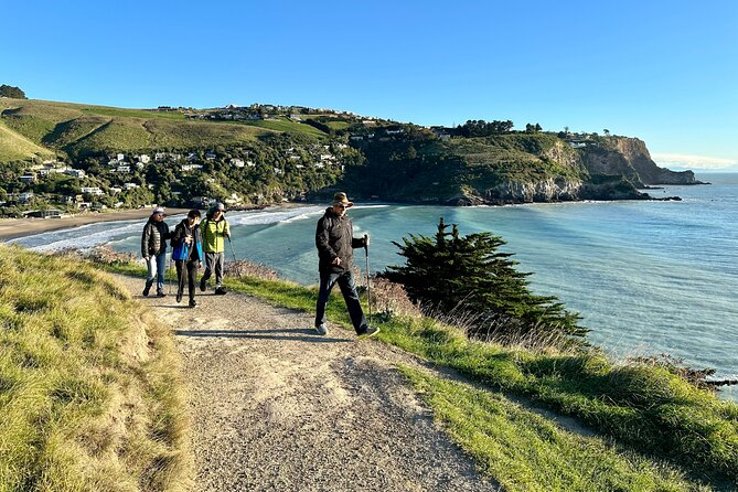 Half Day Guided Walking Tour on Banks Peninsula - What the pace feels like on a half-day walk
