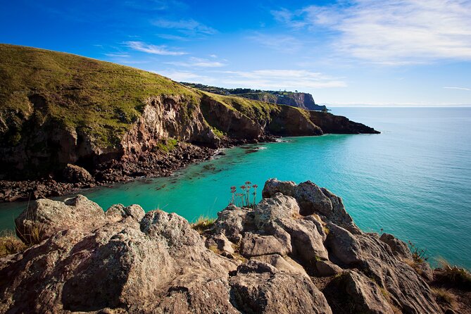 Half Day Guided Walking Tour on Banks Peninsula - Is €128.65 good value?