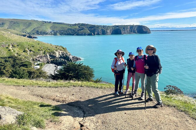 Half Day Guided Walking Tour on Banks Peninsula - Who should book the Godley Head walk?