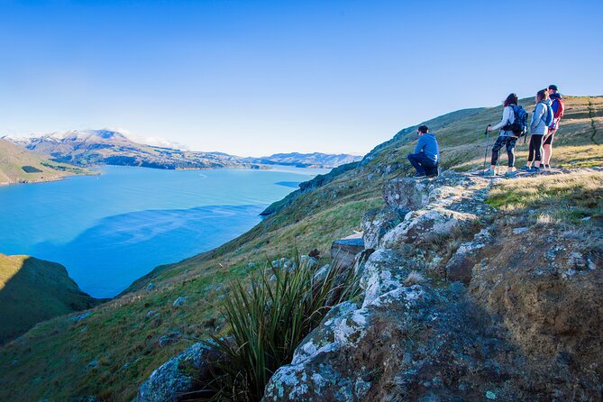 Half Day Guided Walking Tour on Banks Peninsula - The WW2 sites and Antarctic cabin