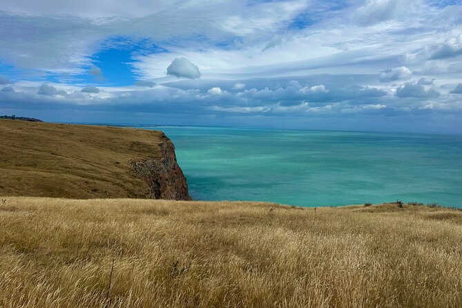 Half Day Luxury Private Guided Crater Rim Walk - Why the private guide changes the experience