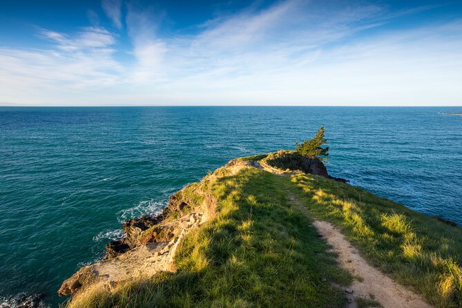 Half Day Luxury Private Guided Crater Rim Walk - WW2 batteries and Scott’s Hut