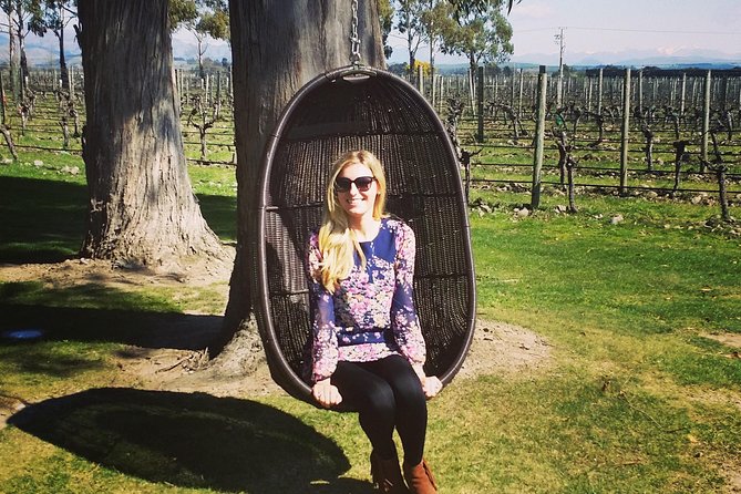 Half-Day Marlborough Wine Tour & Beer Tour - Why this Marlborough tour works well