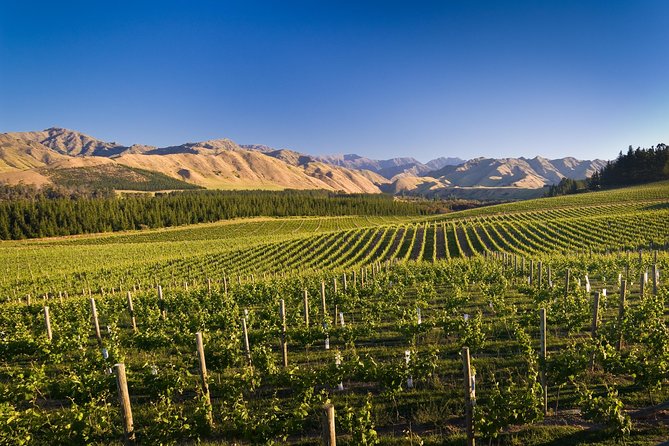Half-Day Marlborough Wine Tour & Beer Tour - The price: good value if you use the included features