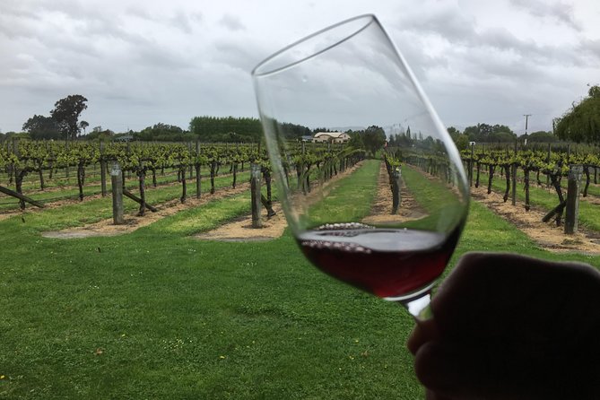Half-Day Marlborough Wine Tour & Beer Tour - A gentle start at Saint Clair Family Estate Vineyard Kitchen