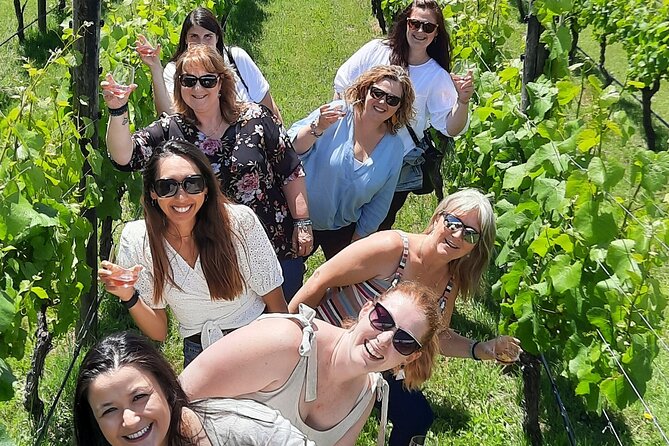 Half Day Martinborough Winery Tour from Wellington - From Wellington to the Wairarapa in 90 minutes