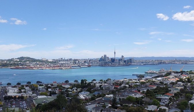 Half-Day: Small Group Auckland Scenic Tour - 4 HOURS - Key Details That Matter Before You Book