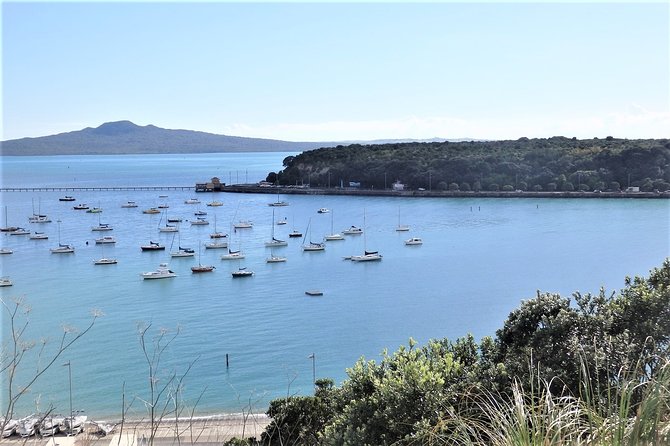 Half-Day: Small Group Auckland Scenic Tour - 4 HOURS - Devonport: Villas, Naval History, and Water Views
