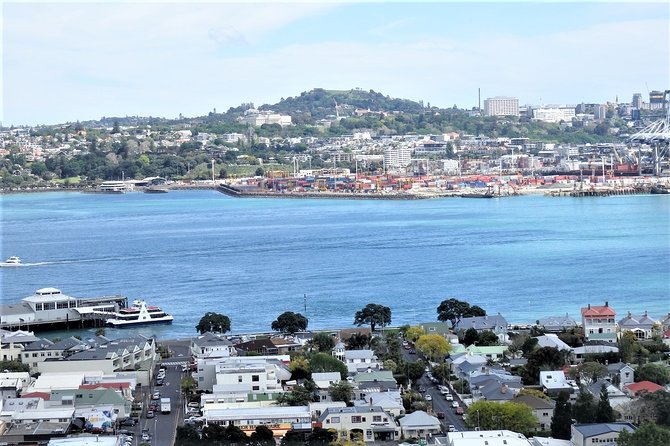 Half-Day: Small Group Auckland Scenic Tour - 4 HOURS - Ponsonby and the Central City Connection
