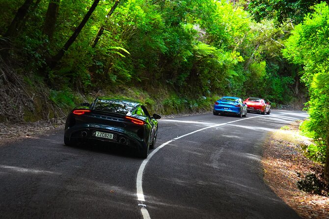 Half-Day Supercar Drive Experience from Auckland - My booking advice