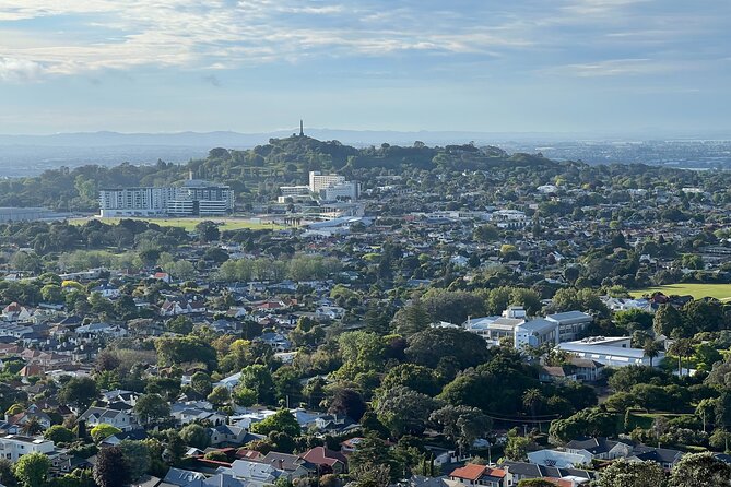 Half-Day Tour: AUCKLAND CITY Highlights with Hotel Pickup - Tamaki Drive delivers the tour’s best coastal stretch