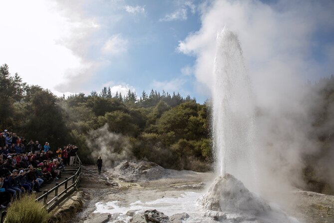 Half-Day Tour - Ex Rotorua: WAI-O-TAPU Thermal Wonderland - Lady Knox Geyser brings a clear moment of drama