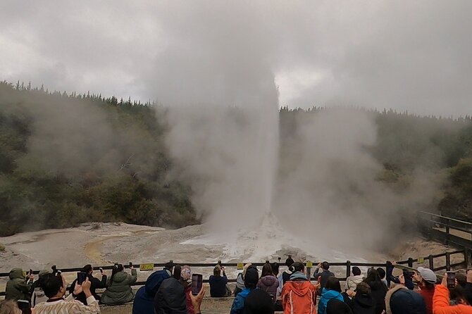 Half-Day Tour - Ex Rotorua: WAI-O-TAPU Thermal Wonderland - The Wai-O-Tapu Mud Pool shows geothermal force