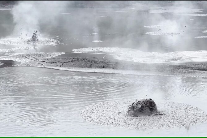 Half-Day Tour - Ex Rotorua: WAI-O-TAPU Thermal Wonderland - Returning to Rotorua and seeing Lake Rotorua